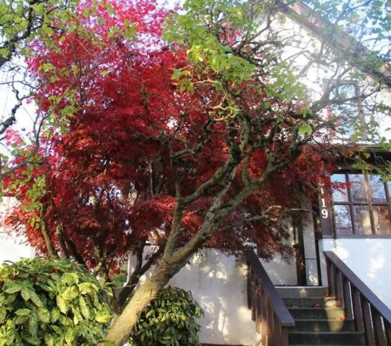 Гостевой дом John'S House In Vancouver West
